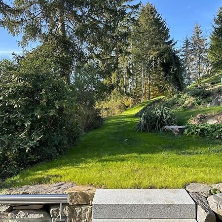 Апартаменты Exclusiv Im Erzgebirge Амстберг Экстерьер фото